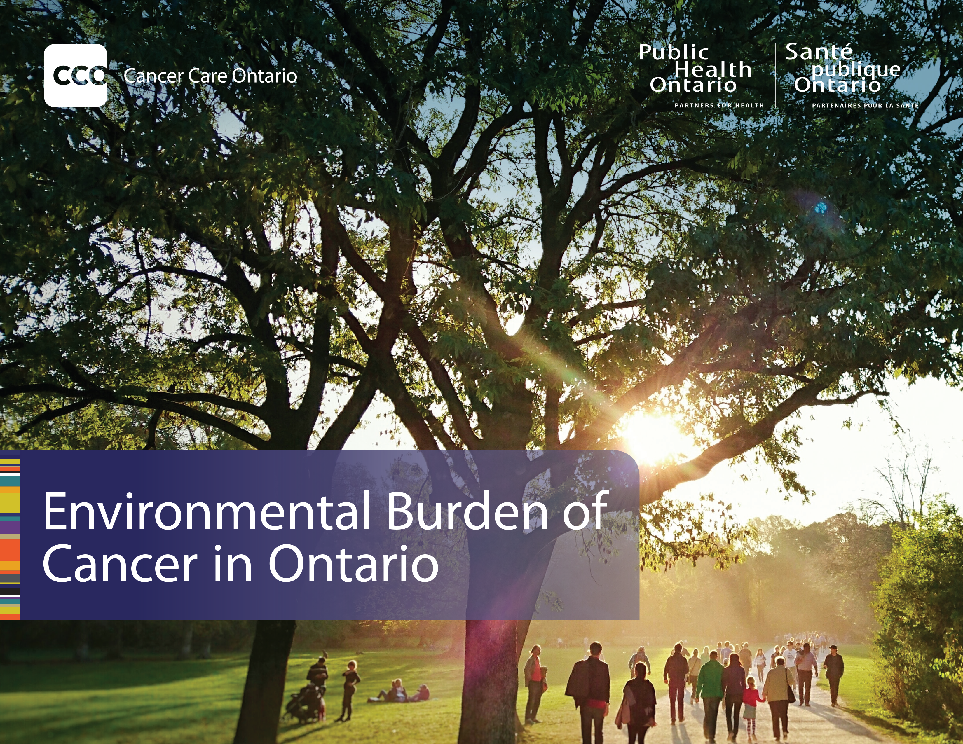 Environmental Burden of Cancer in Ontario