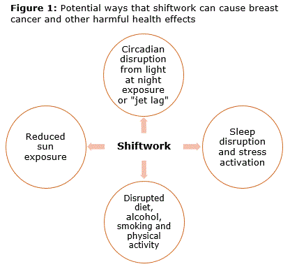 How Night Shift Work Increases Cancer Risk - Neuroscience News