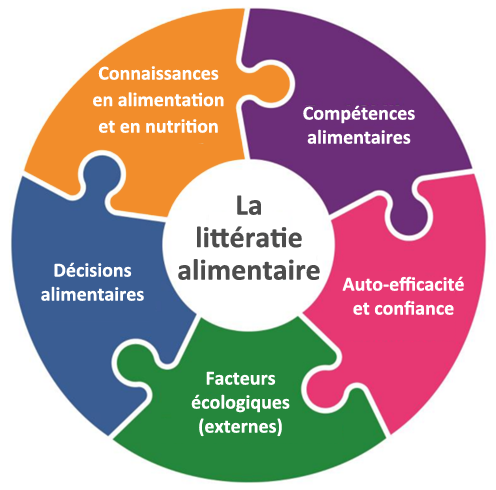  Un graphique de pièces de casse-tête montrant les composantes de l'éducation alimentaire