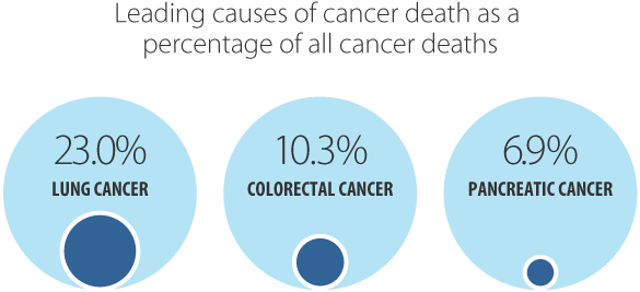 Ch 2 Estimated Current Cancer Mortality Cancer Care Ontario