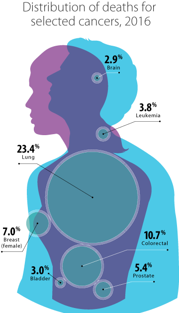 Distribution of deaths, selected cancers, 2016: bladder at 3.0%, brain at 2.9%, female breast at 7.0%, colorectal at 10.7%, leukemia at 3.8%, lung at 23.4%, prostate at 5.4%